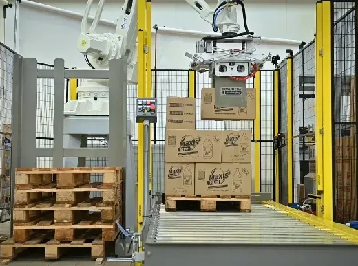 Palletizers bluebay 1